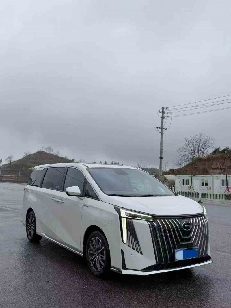 邵阳24年传祺M8/GM82