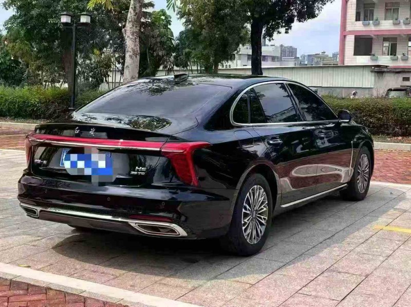 湛江25年红旗H56