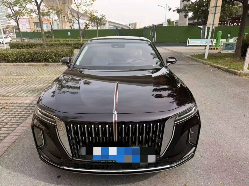 襄阳24年红旗H91