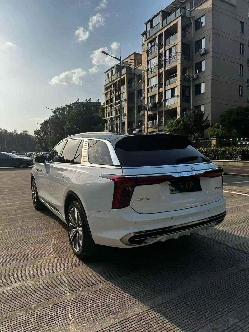 绍兴21年红旗E-HS98