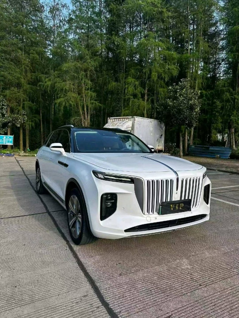 宁波21年红旗E-HS91
