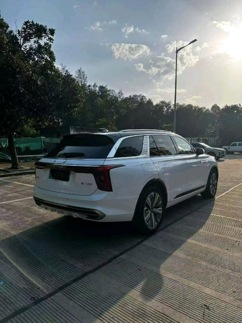 宁波21年红旗E-HS95