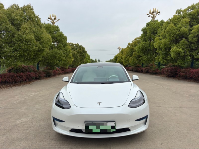 盐城23年特斯拉MODEL 31