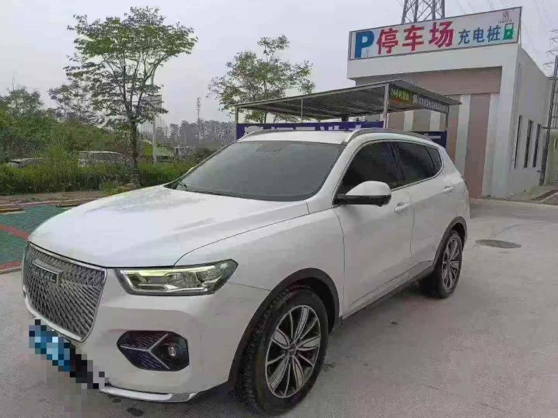 孝感20年红旗H62