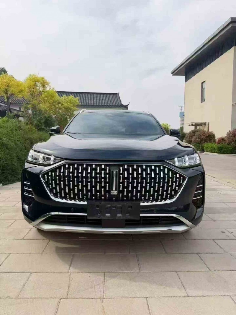 潍坊22年长城汽车魏牌1