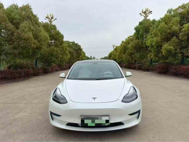 淮安23年特斯拉MODEL 31