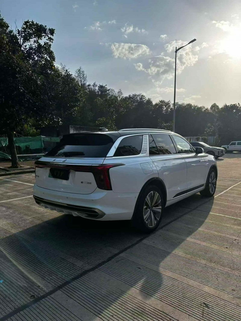 湖州21年红旗E-HS98