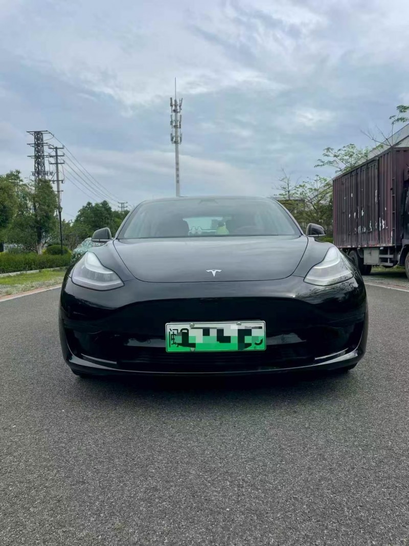福州20年特斯拉MODEL 31