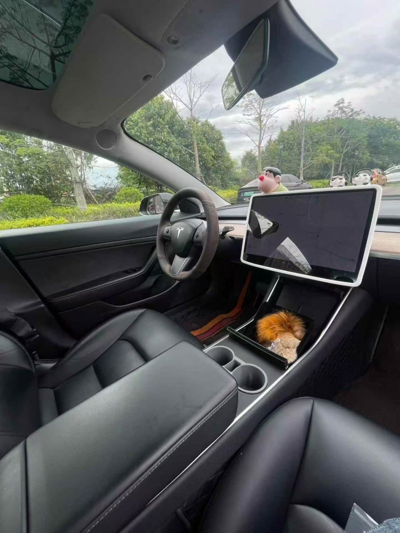 福州20年特斯拉MODEL 37