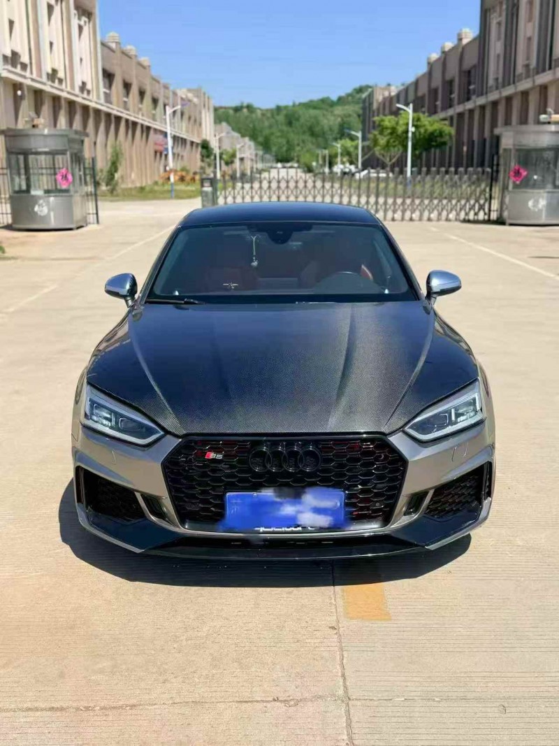 淄博19年奥迪S51