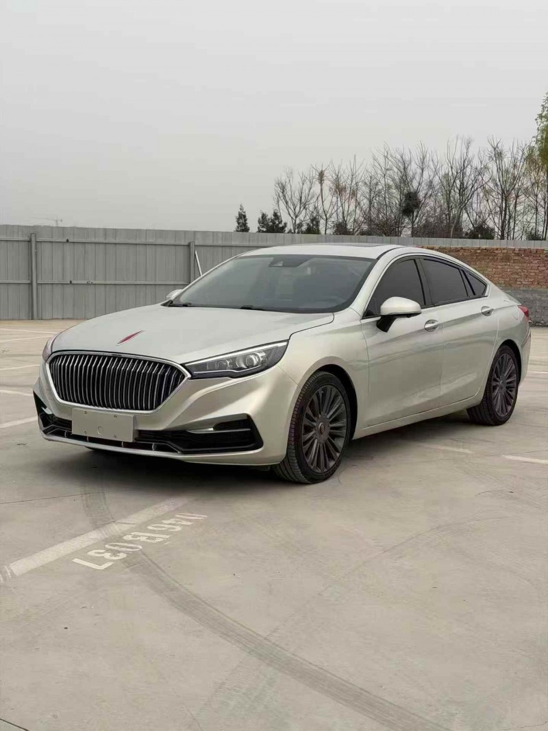 潍坊20年红旗H53