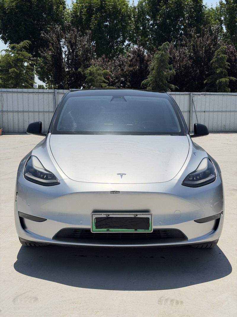 新乡21年特斯拉MODEL Y1