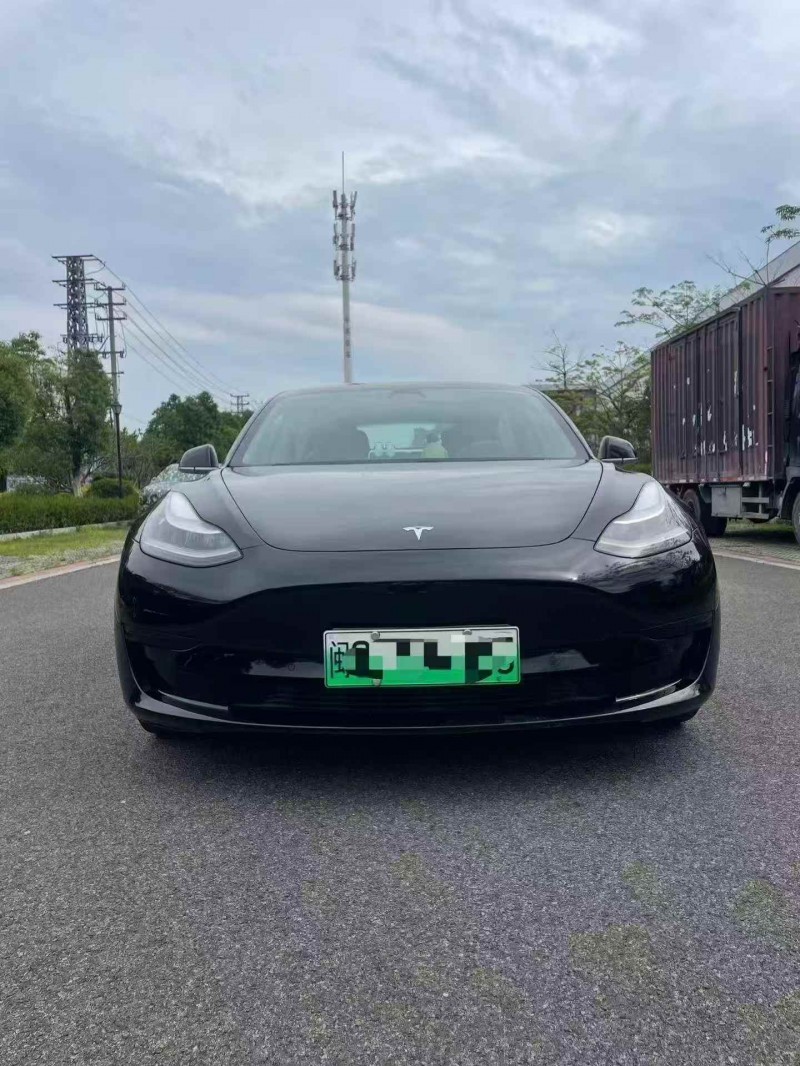 三明20年特斯拉MODEL 31
