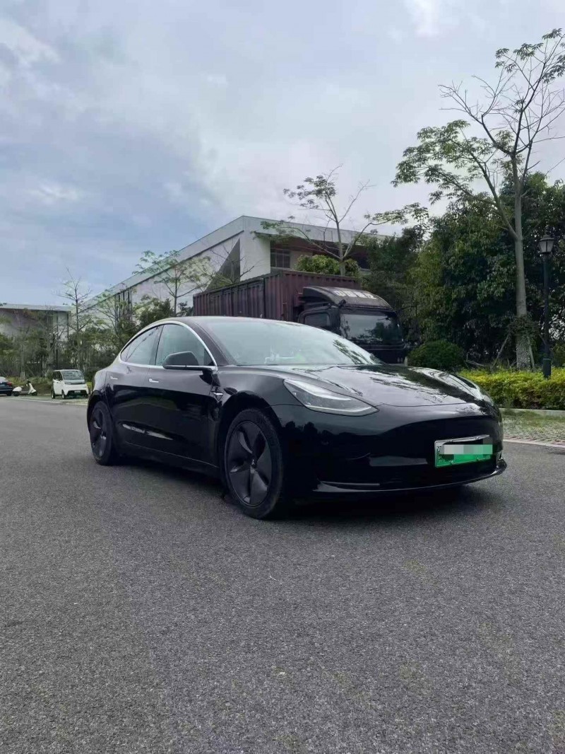 三明20年特斯拉MODEL 32
