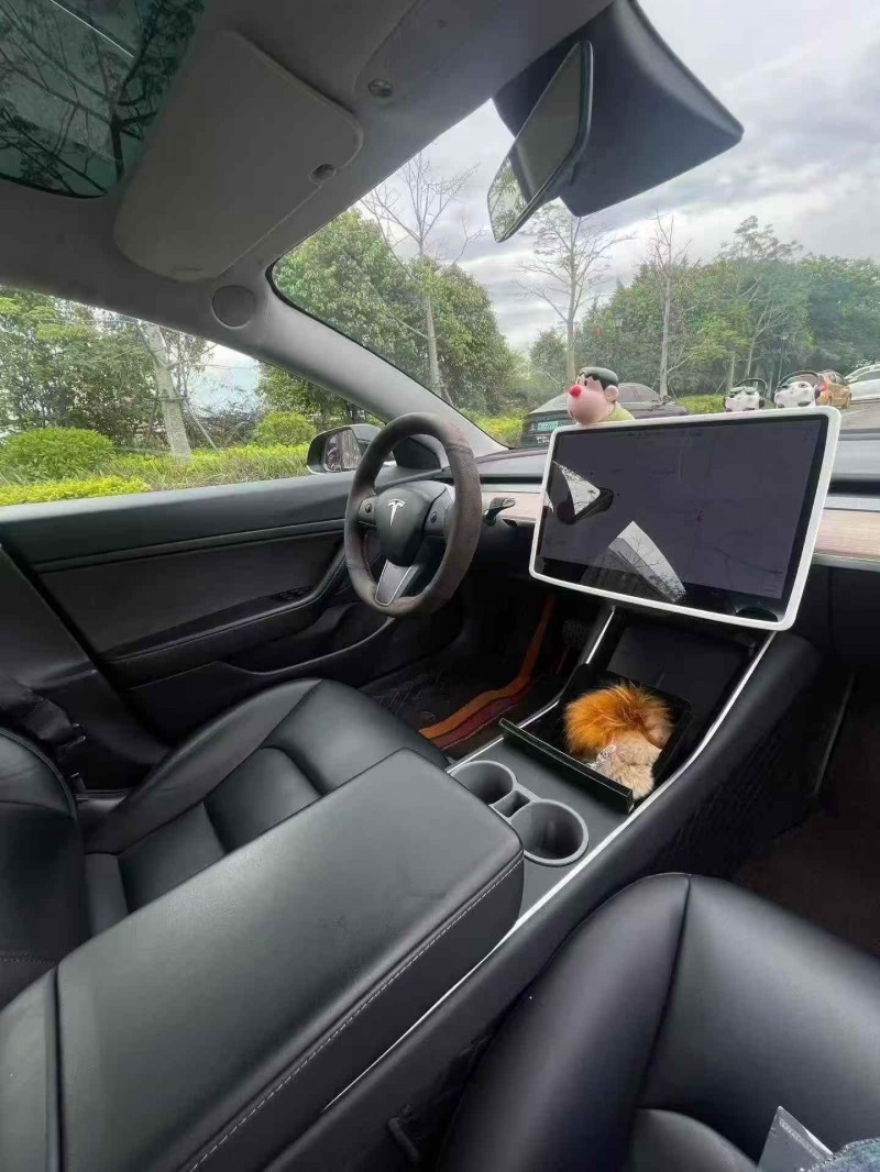 三明20年特斯拉MODEL 34