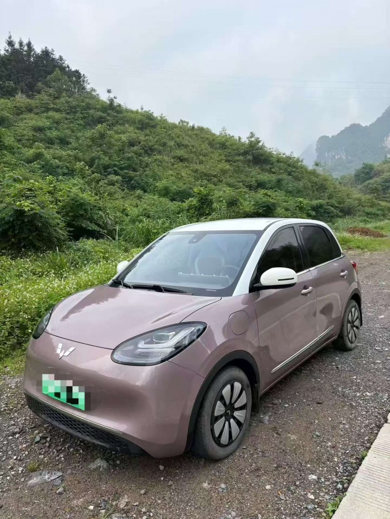 广州23年五菱汽车缤果2