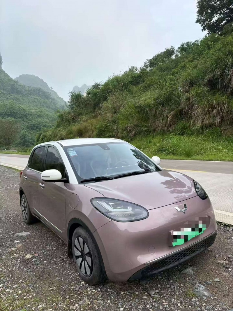 广州23年五菱汽车缤果3