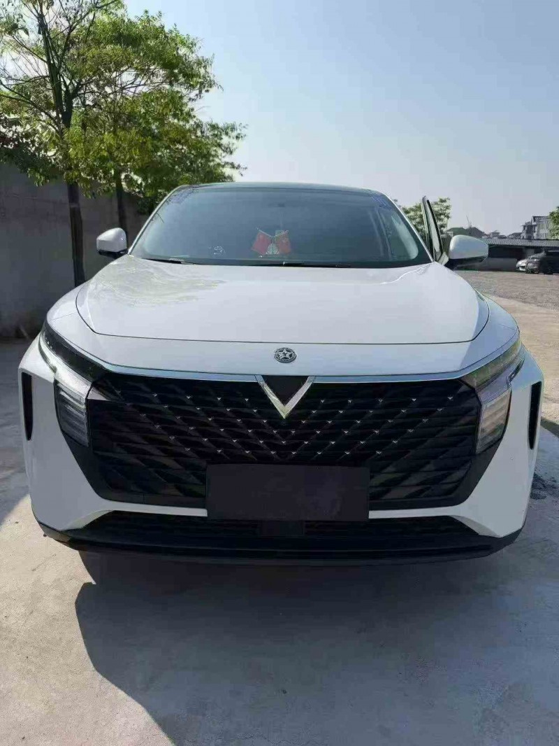 湖州23年启辰大V1