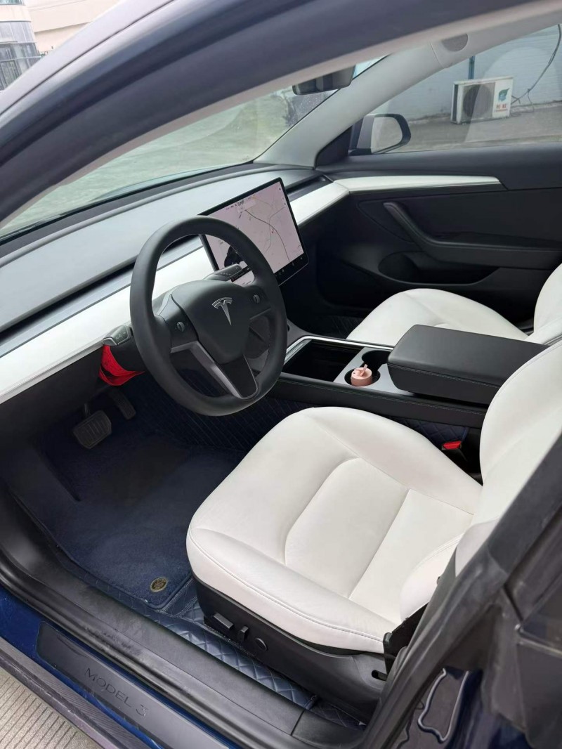 乐山21年特斯拉MODEL 34
