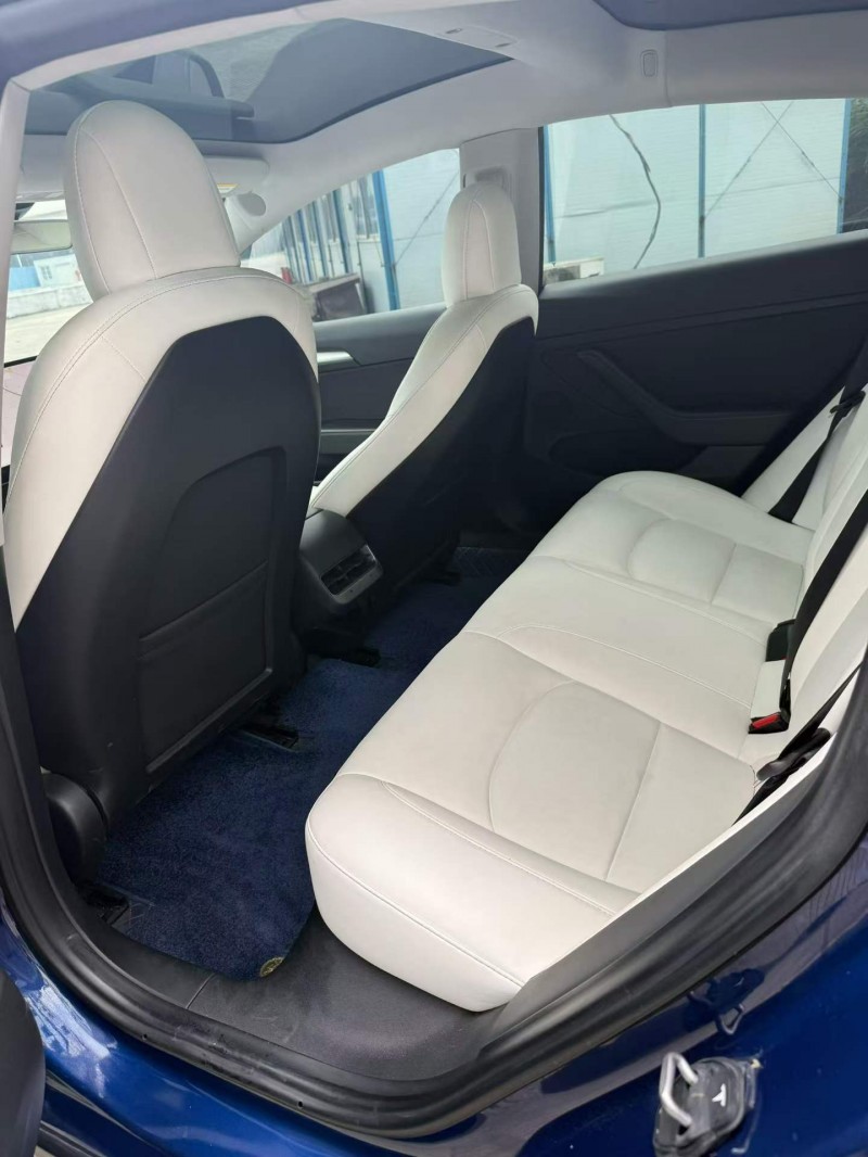 乐山21年特斯拉MODEL 35