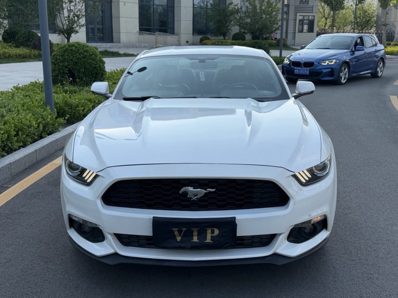 济宁19年福特野马1
