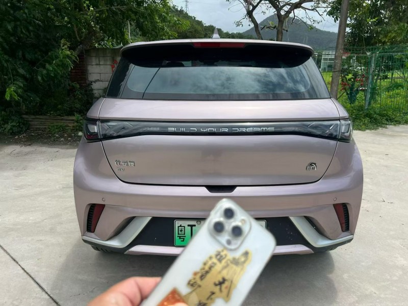 广州23年比亚迪海豚3