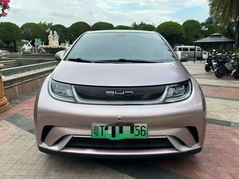 广州23年比亚迪海豚1