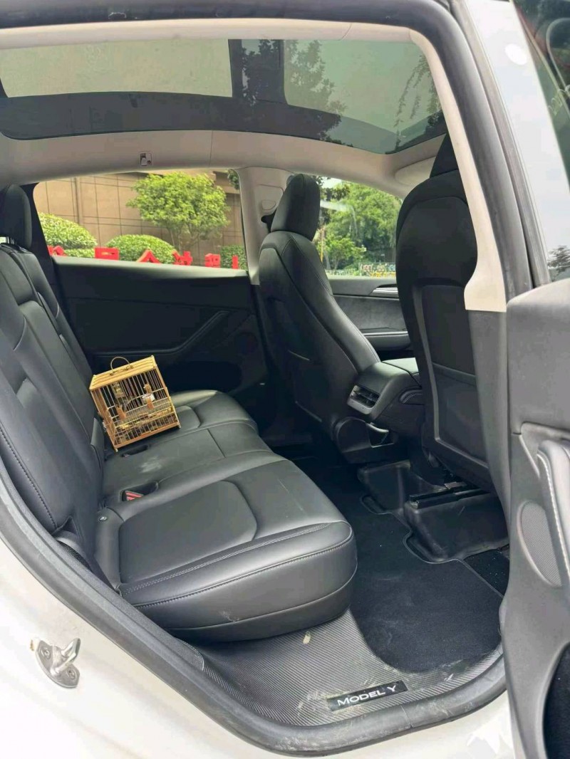 枣庄23年特斯拉MODEL Y8