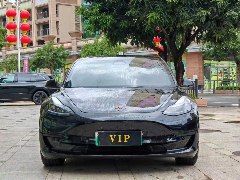 东莞23年特斯拉MODEL 31
