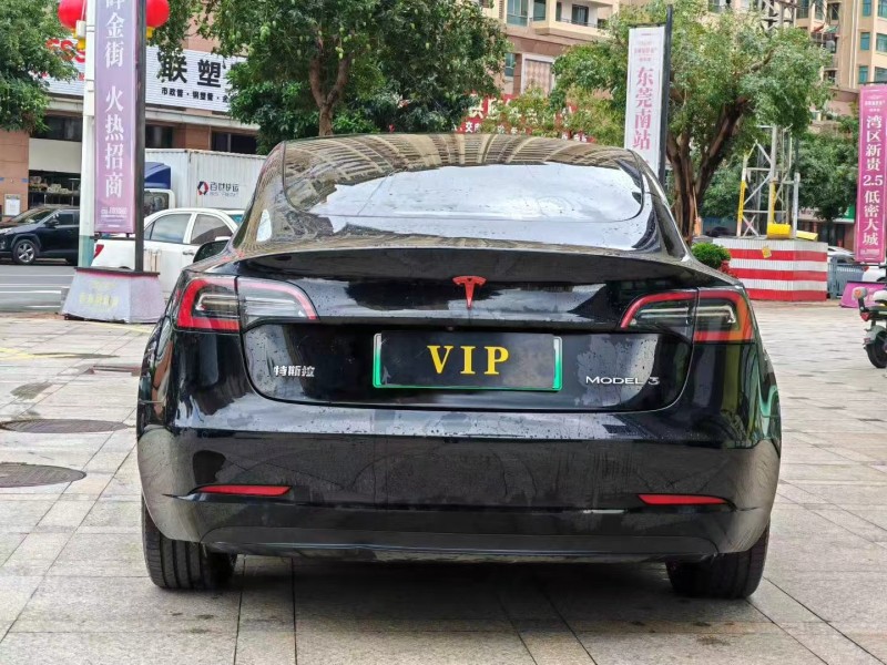 东莞23年特斯拉MODEL 38