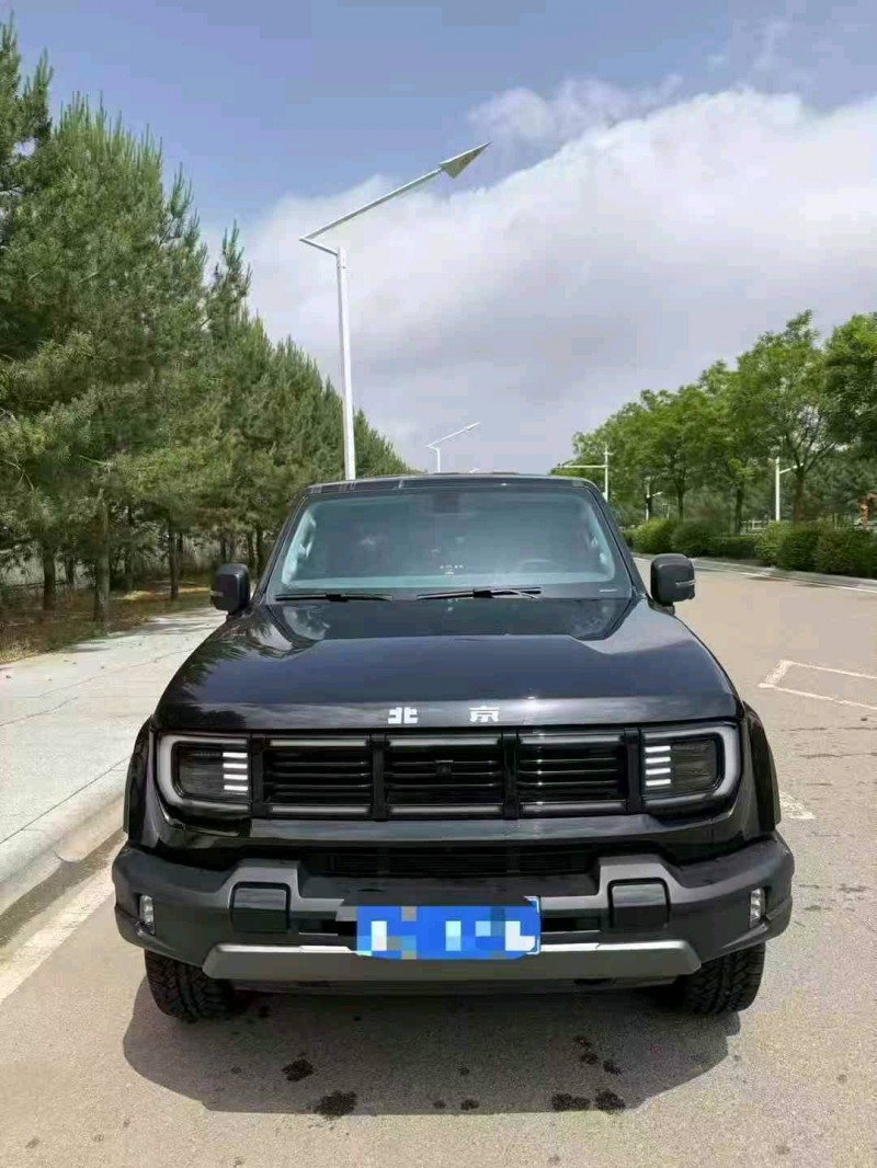 巴彦淖尔24年北京BJ401
