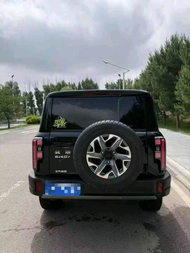 巴彦淖尔24年北京BJ409