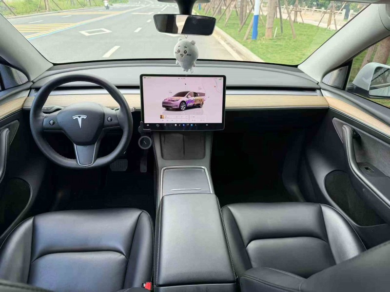 南平22年特斯拉MODEL Y5
