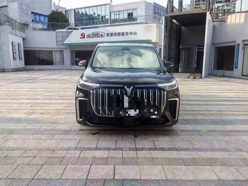 新余24年岚图汽车梦想家1