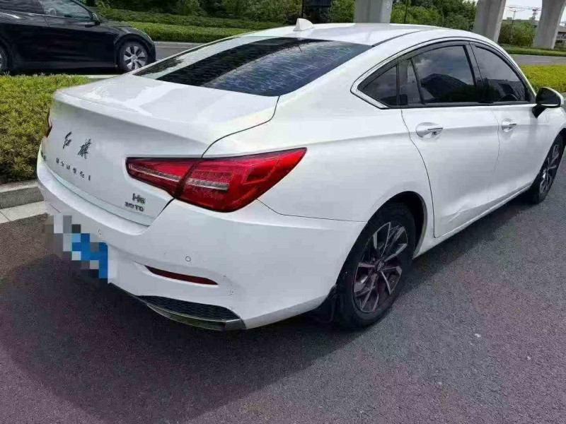 湖州11年红旗H54