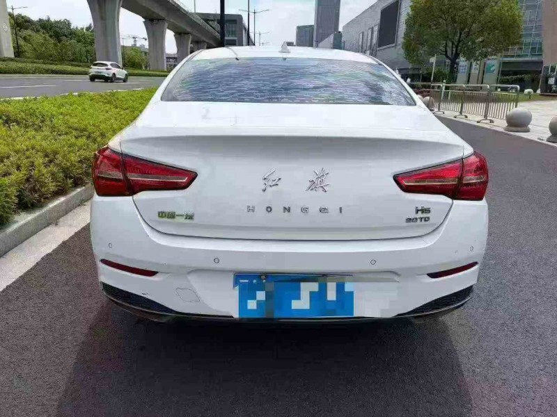 湖州11年红旗H55