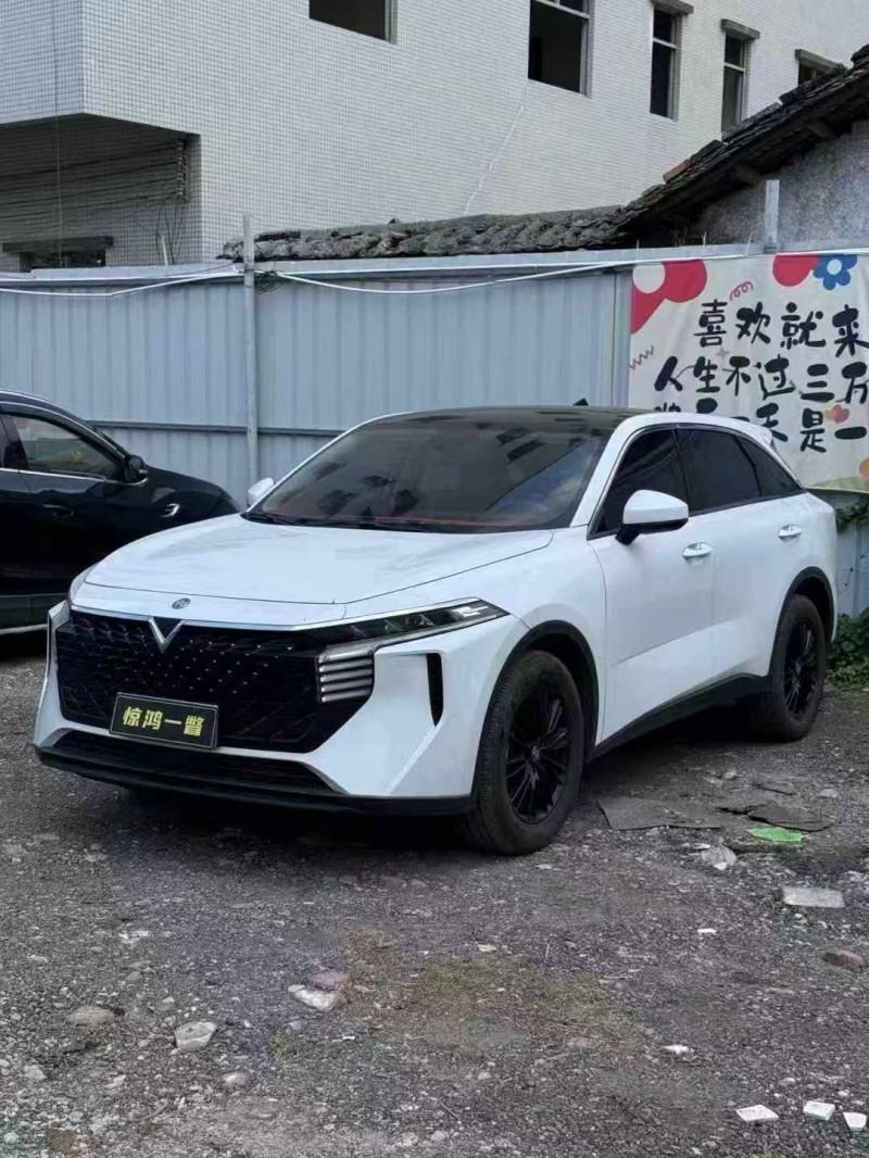 广州23年启辰大V3
