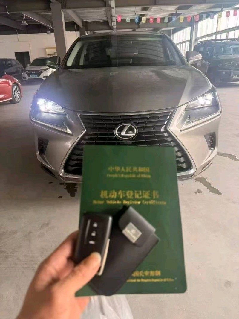 广州19年雷克萨斯NX1