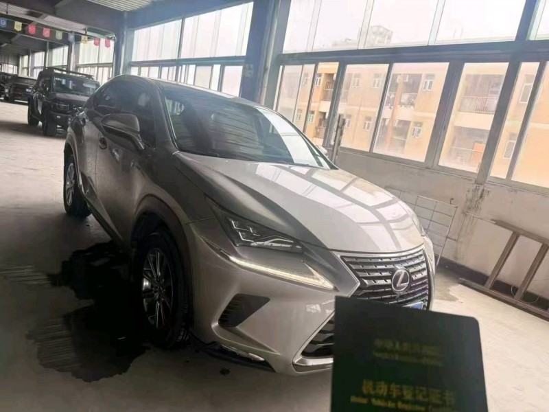 广州19年雷克萨斯NX2