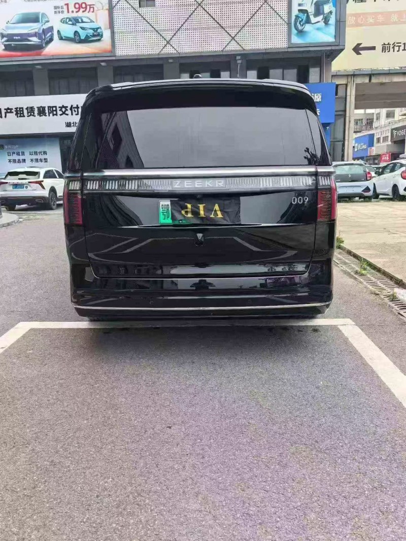 荆门23年极氪汽车0099