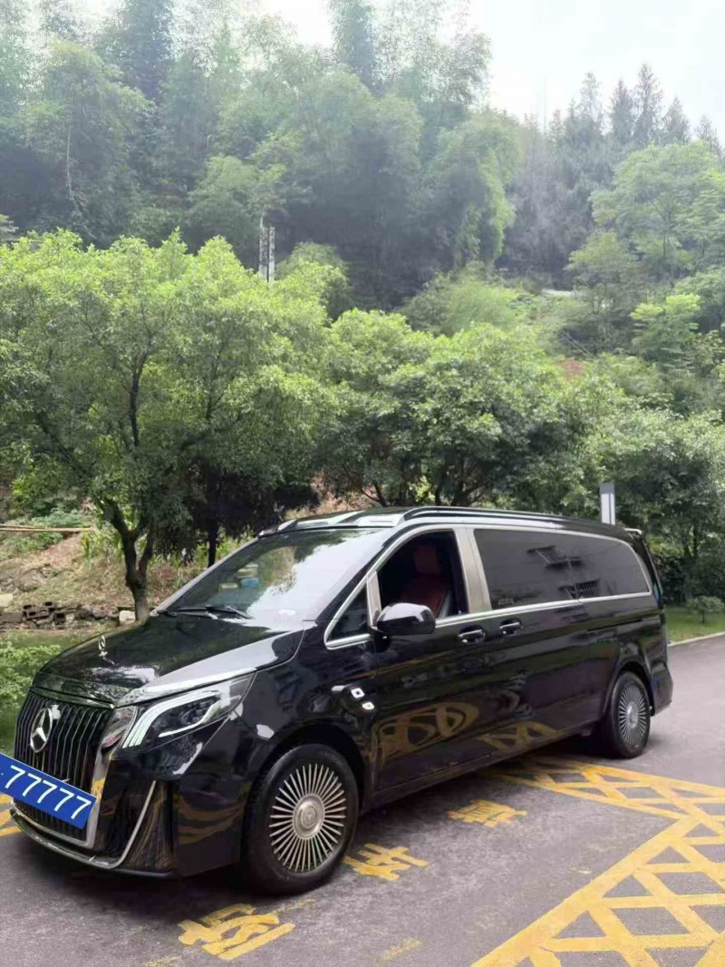 重庆24年奔驰威霆3
