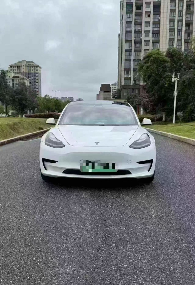 湖州20年特斯拉MODEL 31