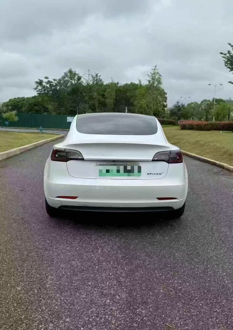 湖州20年特斯拉MODEL 39