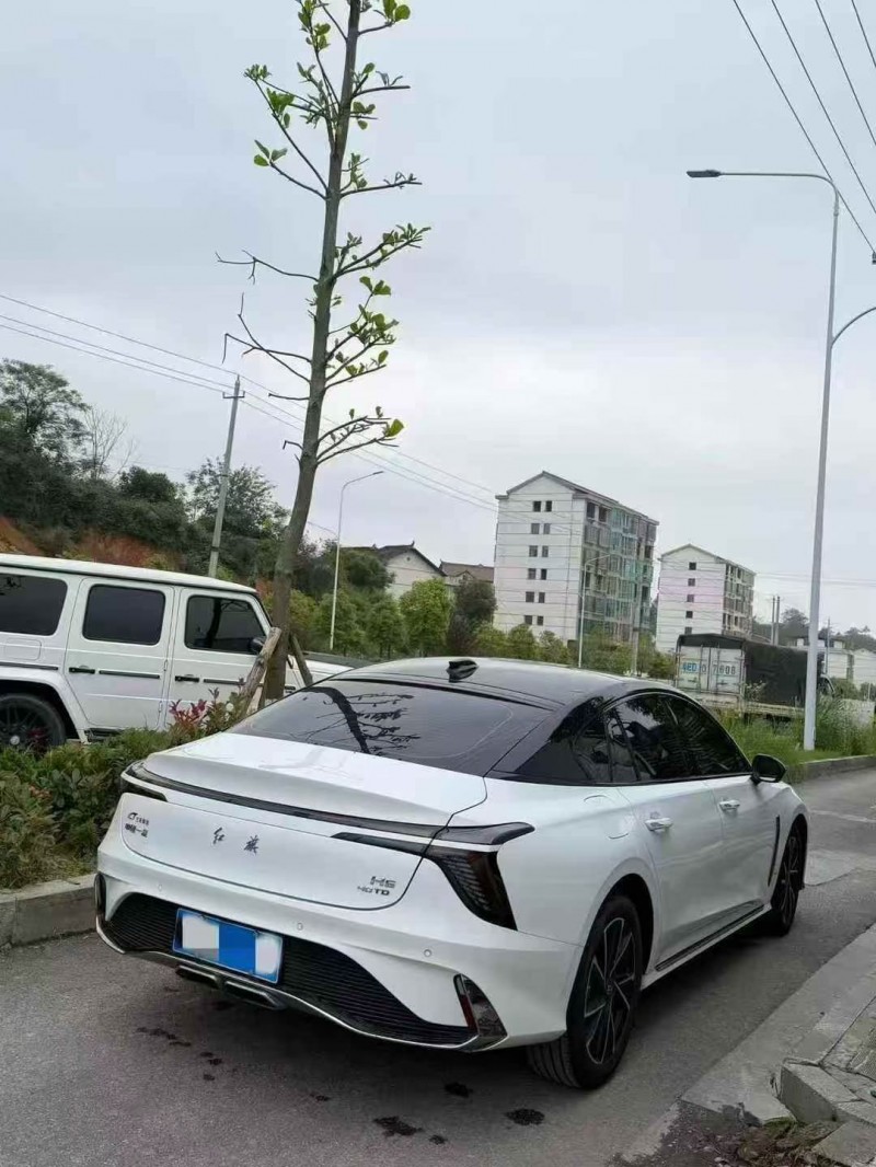 岳阳25年红旗H59