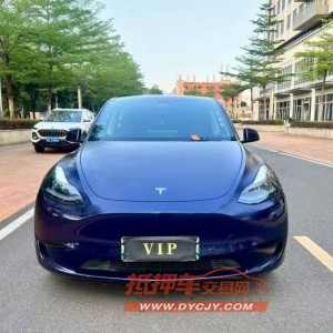 佛山23年特斯拉MODEL Y