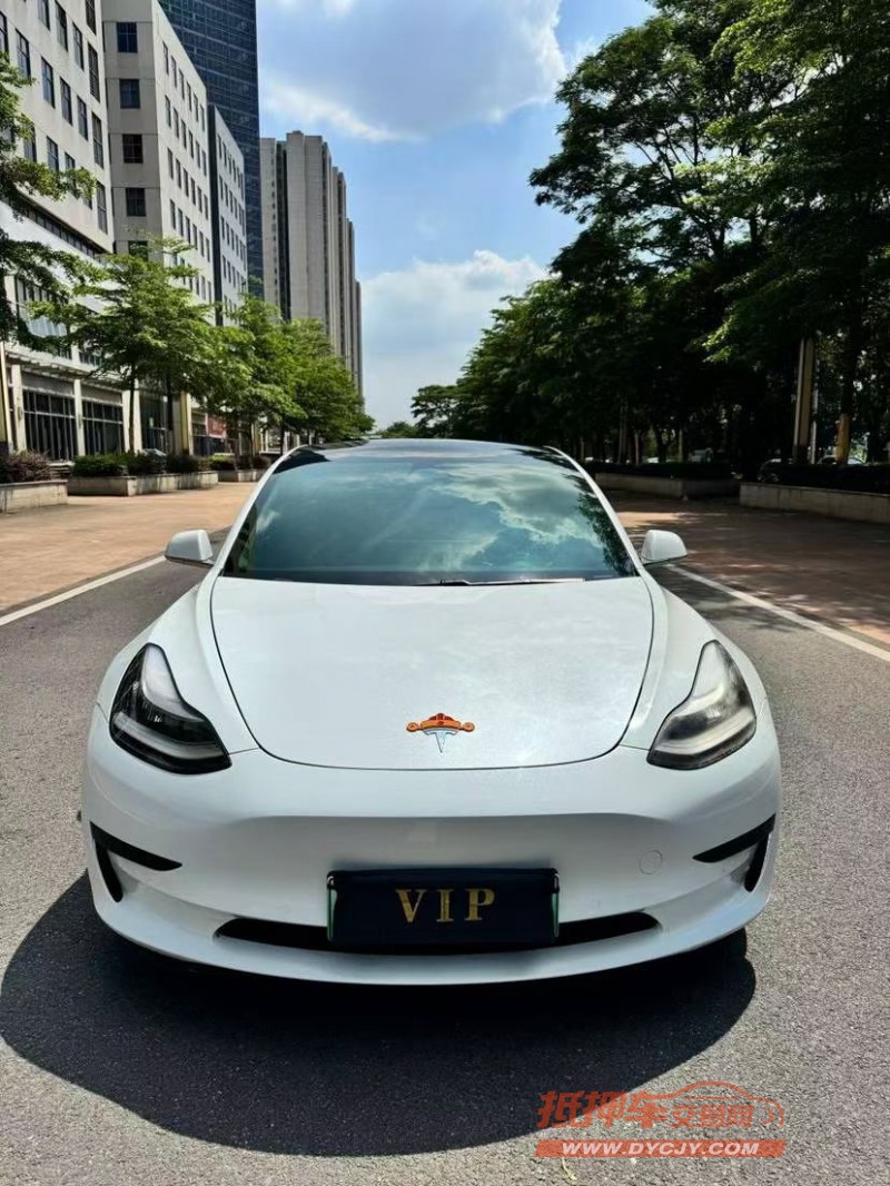 佛山20年特斯拉MODEL Y1