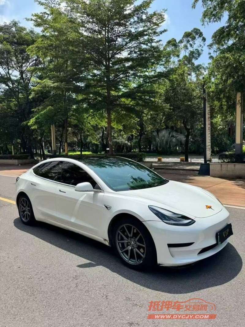 佛山20年特斯拉MODEL Y3