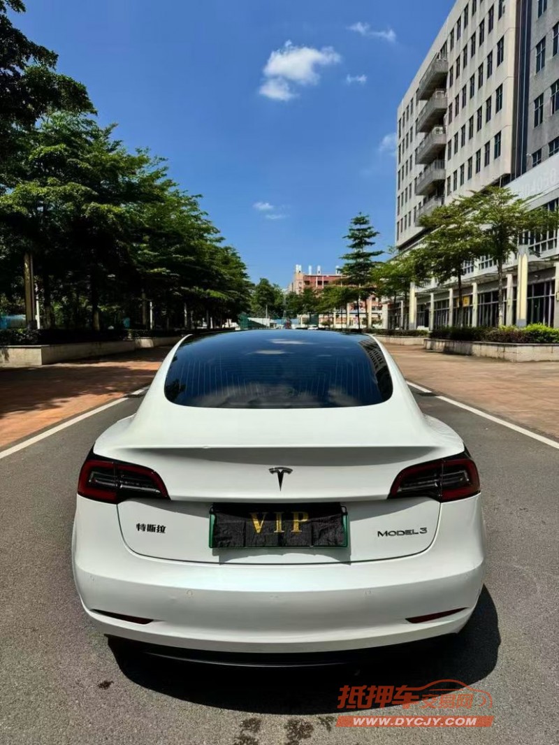 佛山20年特斯拉MODEL Y9