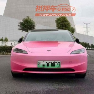 温州24年特斯拉MODEL Y