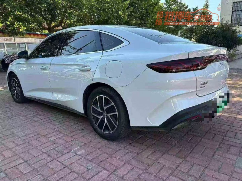 东营24年比亚迪秦8